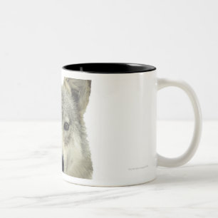 A wolf Two-Tone coffee mug