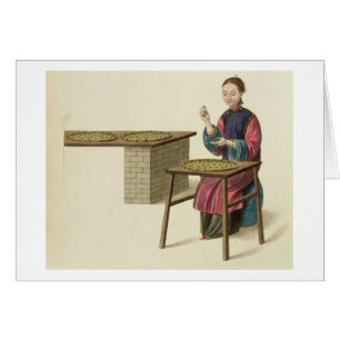 A Woman Preparing Tea, plate 21 from 'The Costume