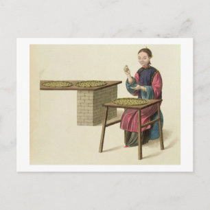 A Woman Preparing Tea, plate 21 from 'The Costume Postcard