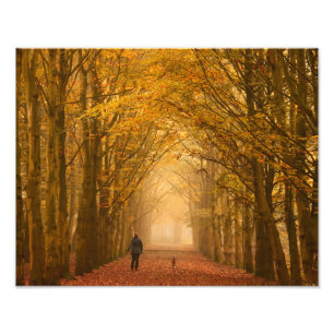 A woman walking with dog on a fall morning photo
