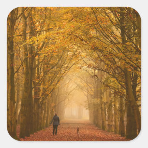 A woman walking with her dog in fall sticker