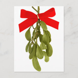 A woman's hand holding a sprig of mistletoe postcard