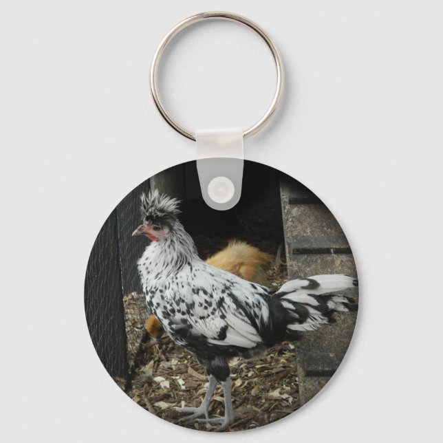 a wonderful design of a beautiful exotic bird key ring (Front)