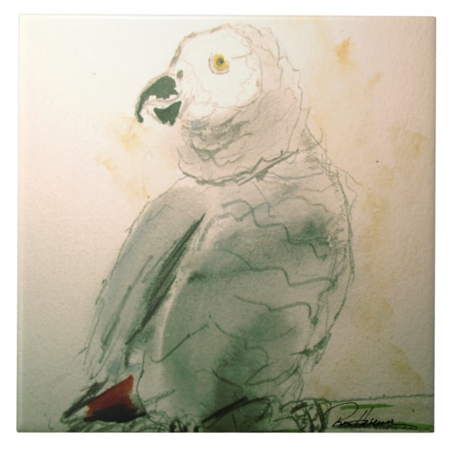 A Wonderful Parrot Ceramic Tile (Front)
