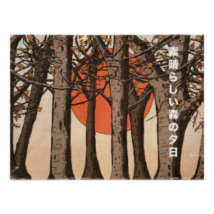 A Wonderful Woodland Sunset Poster