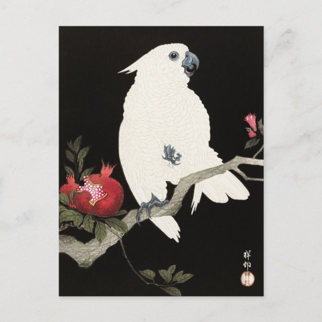 A woodblock print of a parrot drawn by Ohara Koson Postcard (Front)
