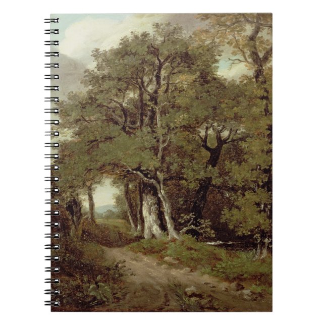 A Wooded Path Notebook (Front)