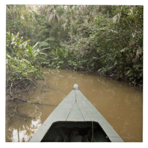 A wooden canoe made of Eucylptus tree floats in 2 Ceramic Tile