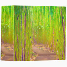 A wooden path through a dense bamboo forest