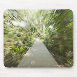 A wooden path through the rainforest in warped mouse pad