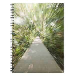 A wooden path through the rainforest in warped notebook