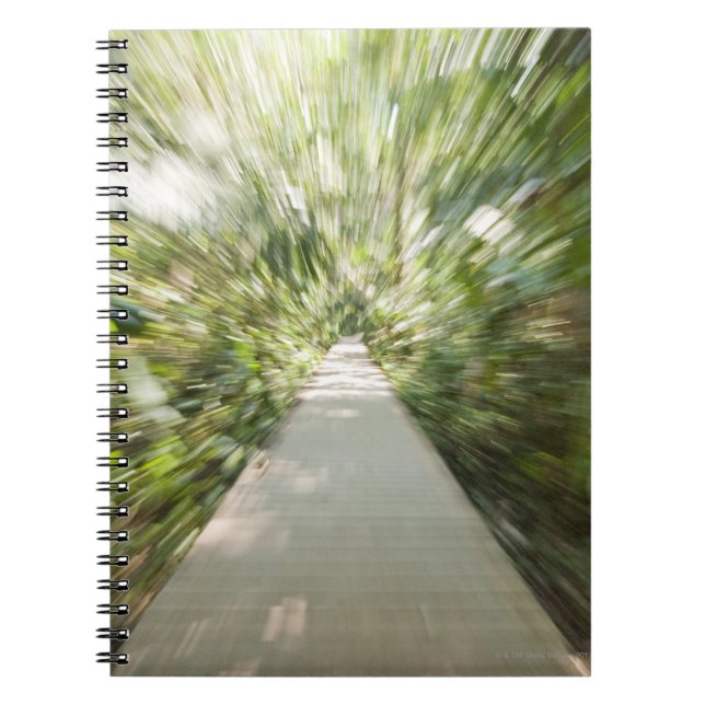 A wooden path through the rainforest in warped notebook (Front)