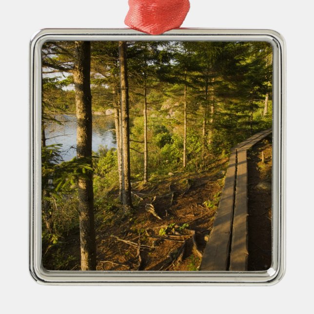 A wooden walkway in Acadia National Park Maine Metal Tree Decoration (Front)