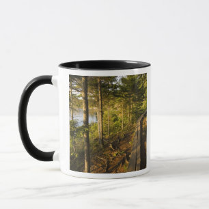 A wooden walkway in Acadia National Park Maine Mug