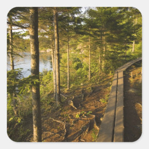 A wooden walkway in Acadia National Park Maine Square Sticker