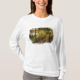 A wooden walkway in Acadia National Park Maine T-Shirt
