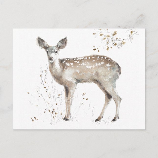 A Woodland Walk IX Postcard (Front)