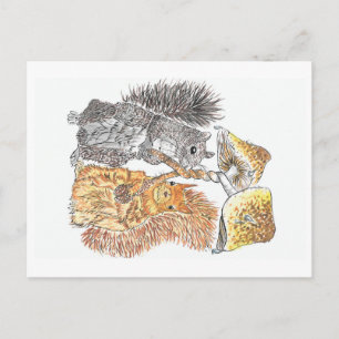 A Woodland Walk   Squirrel Postcard