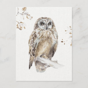 A Woodland Walk VIII Postcard