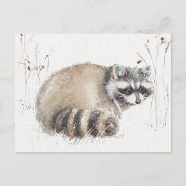 A Woodland Walk X Postcard (Front)