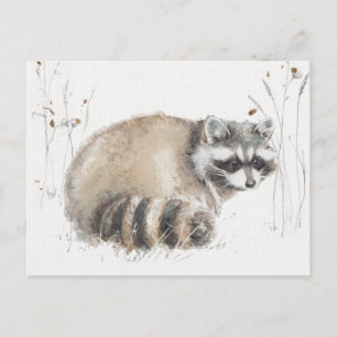 A Woodland Walk X Postcard