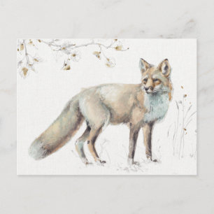 A Woodland Walk XI Postcard