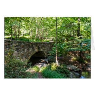 A Woodlands Walkway Bridge