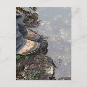 A World Below Postcard