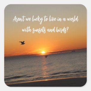 "A World With Sunsets and Birds" Square Sticker