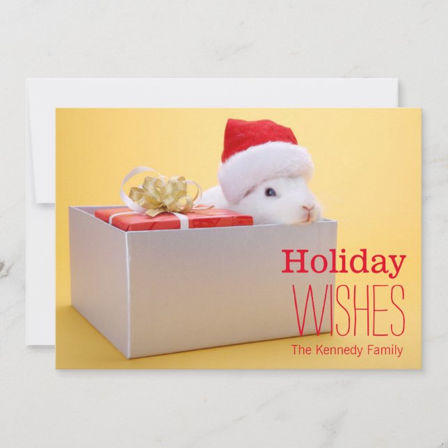 A wrapped gift and a rabbit with Santa Holiday Card (Front)