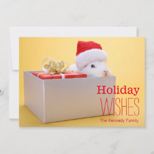 A wrapped gift and a rabbit with Santa Holiday Card