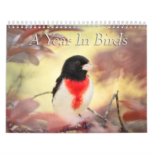 A Year In Birds Calendar