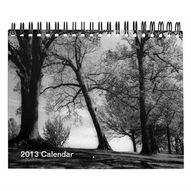 A year in Black and white photography Calendar (Cover)
