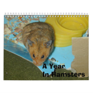 A Year in Hamsters 2010 Calendar