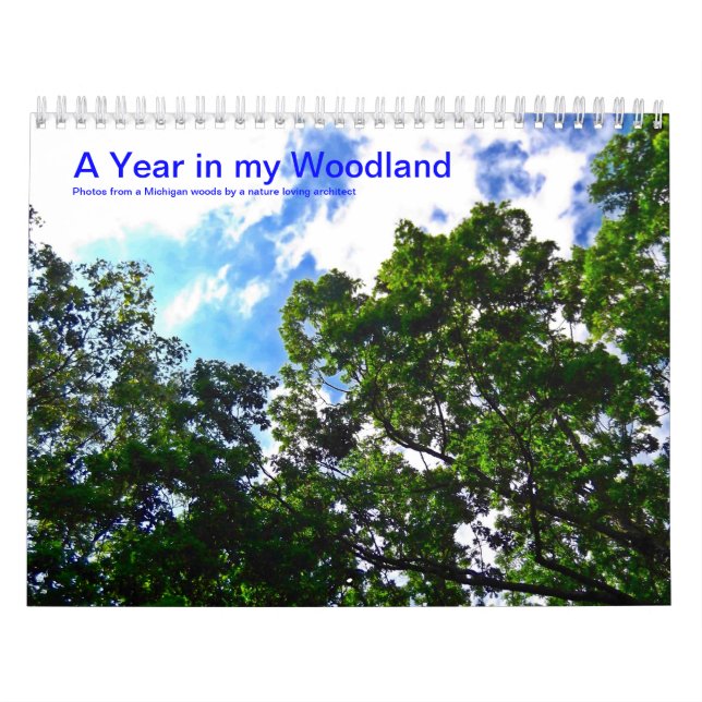 A Year in My Woodland 2014 Calendar (Cover)