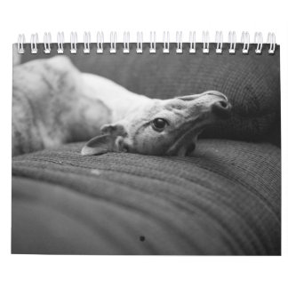 A Year In The Life of Enzo Calendar