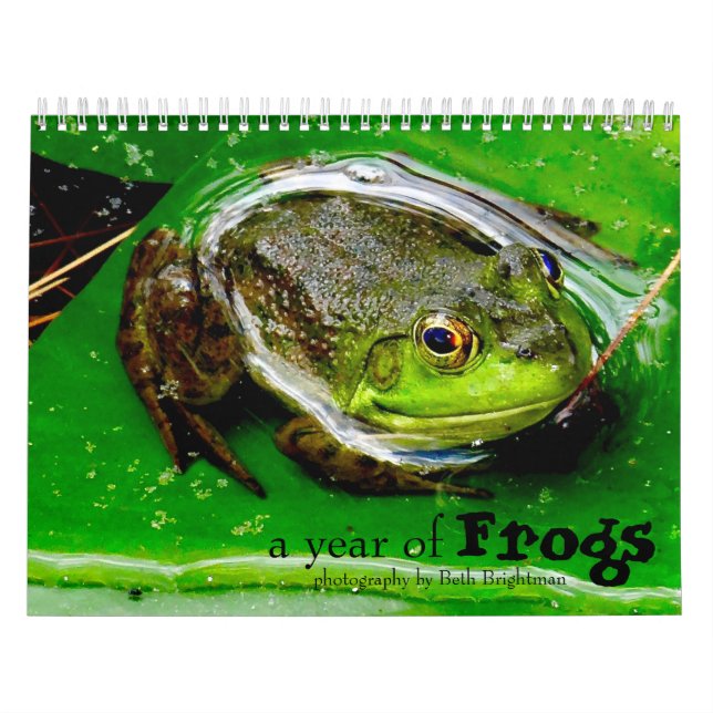 A Year of Frogs Calendar (Cover)