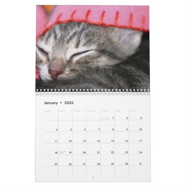 A year of fuzzybutts calendar (Jan 2026)