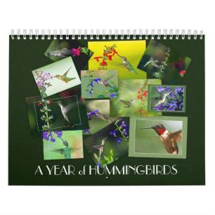 A Year of Hummingbirds Calendar