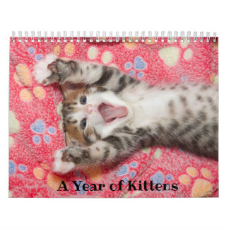 A Year of Kittens Calendar