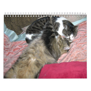 A year of kitty cats calendar