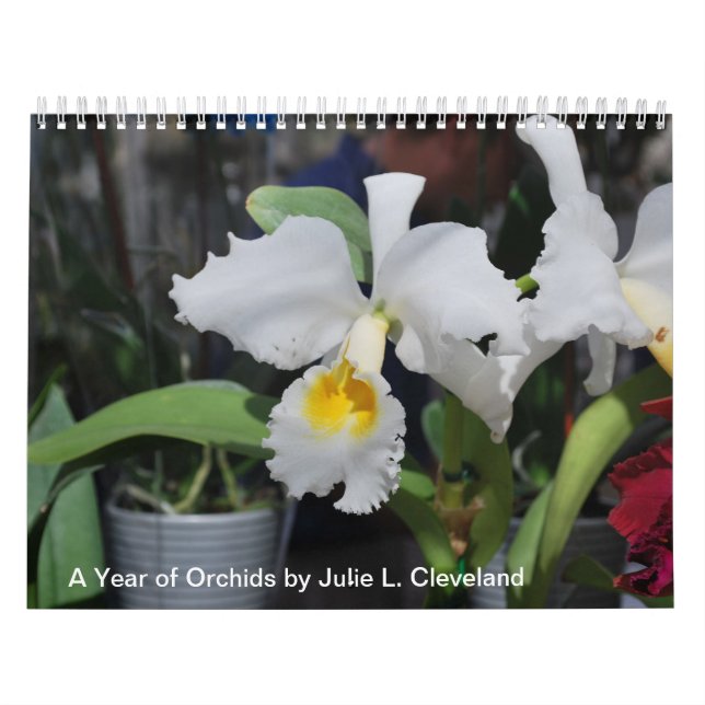 A Year of Orchids 2014 Orchid Calendar Photos (Cover)