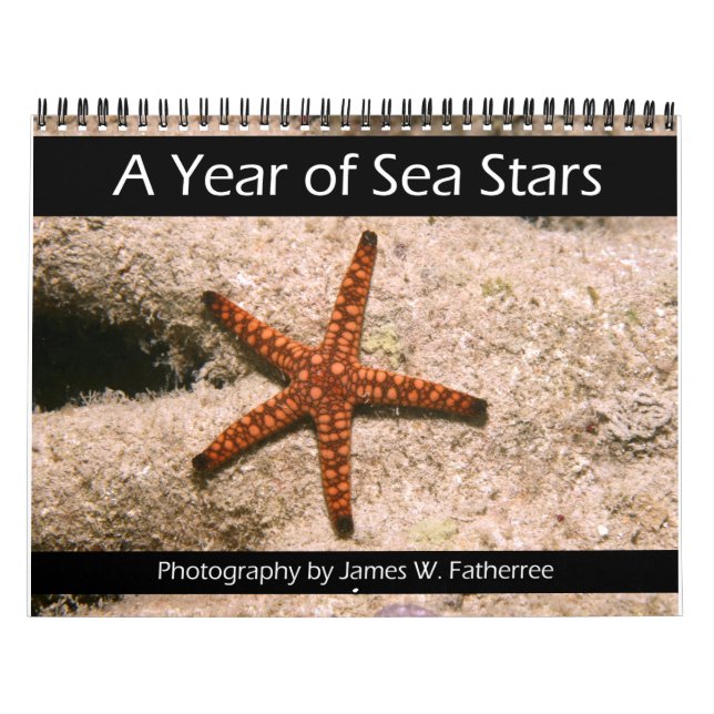 A Year of Sea Stars Calendar (Cover)