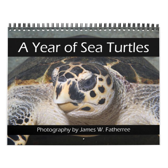A Year of Sea Turtles Calendar (Cover)