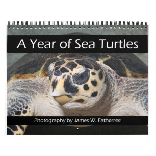 A Year of Sea Turtles Calendar