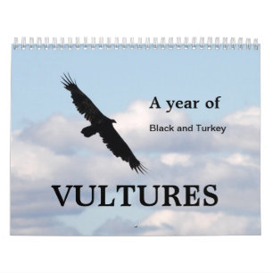 A Year of Vultures Calendar