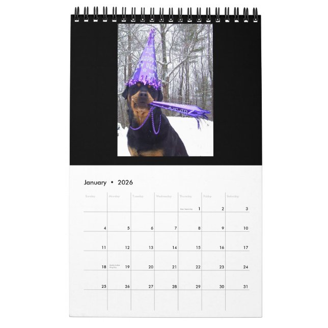 "A Year with Annie" 2016 Rottweiler Calendar (Jan 2026)