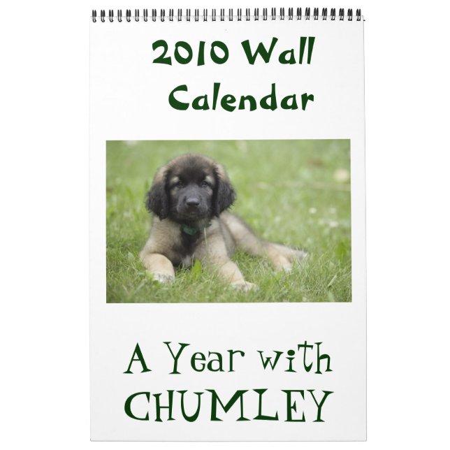 A Year with Chumley 2010 Wall Calendar (Cover)