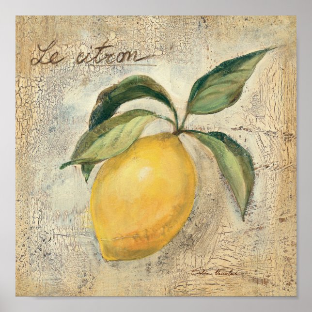 A Yellow Lemon Fruit Poster (Front)