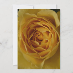 A Yellow Rose 21st Birthday Party Invitation